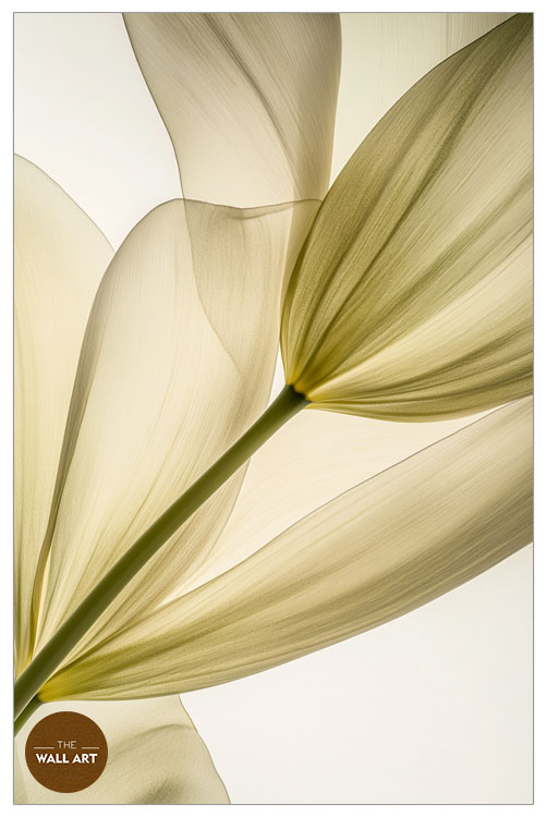 images/products/transparent_leaves_i/transparent_leaves I_WHITE_P.jpg